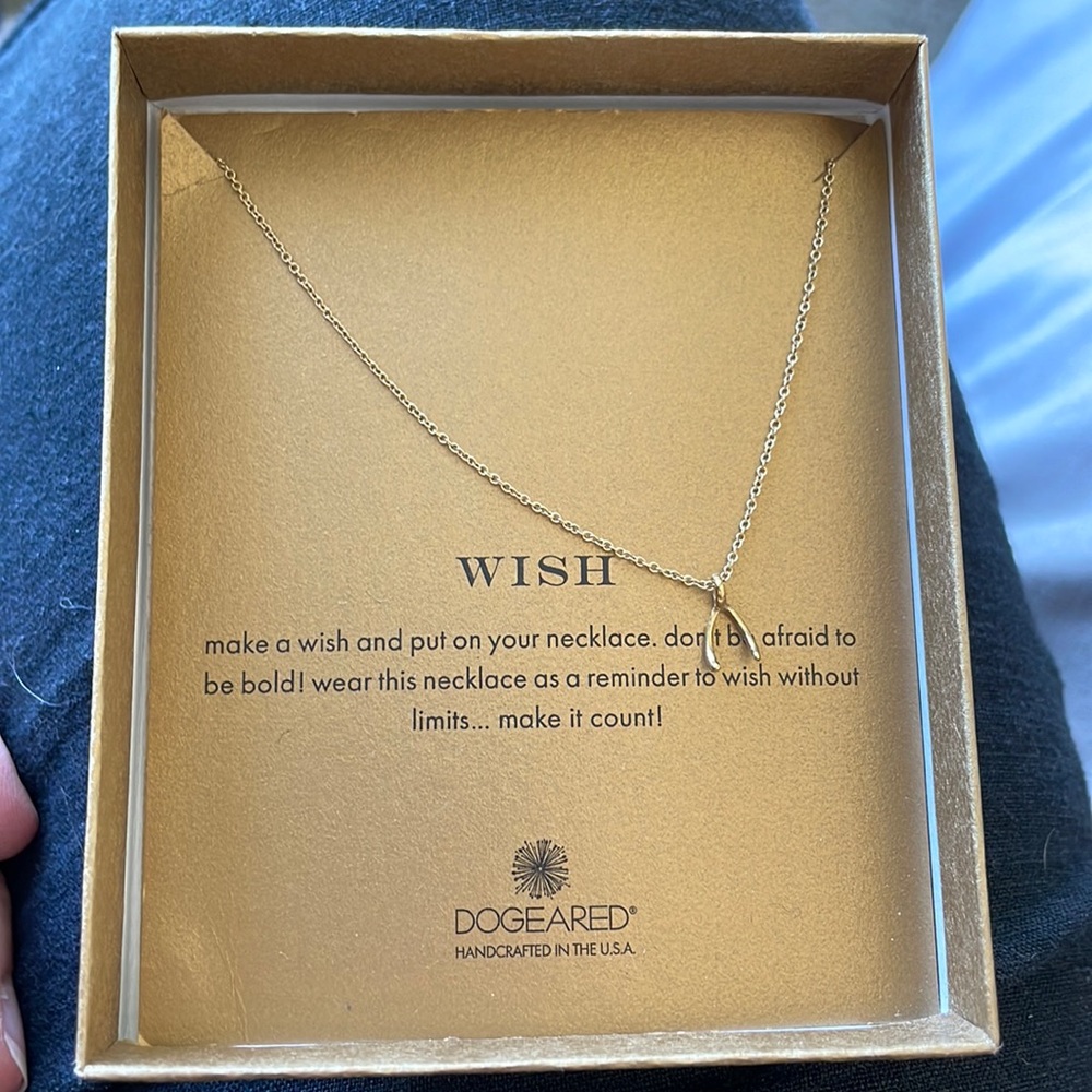 Dogeared wishbone necklace 18”